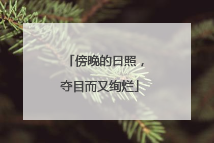 傍晚的日照，夺目而又绚烂