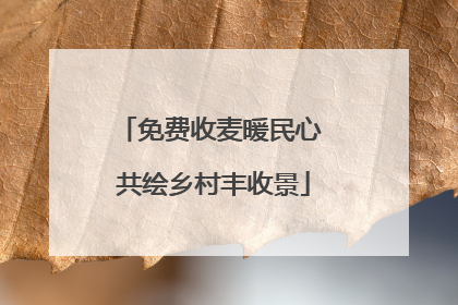 免费收麦暖民心 共绘乡村丰收景