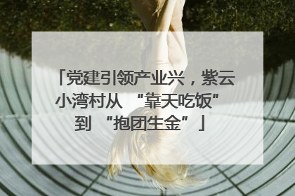 党建引领产业兴，紫云小湾村从 “靠天吃饭” 到 “抱团生金”