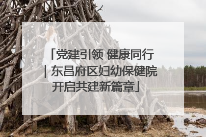 党建引领 健康同行｜东昌府区妇幼保健院开启共建新篇章