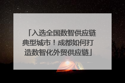 入选全国数智供应链典型城市！成都如何打造数智化外贸供应链