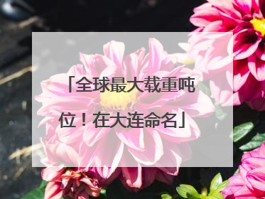 全球最大载重吨位！在大连命名