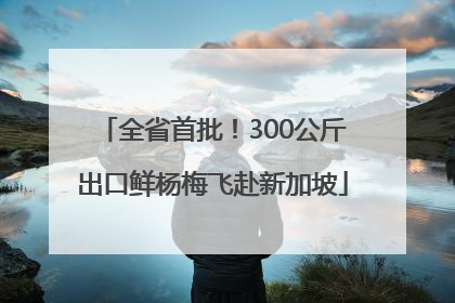 全省首批！300公斤出口鲜杨梅飞赴新加坡