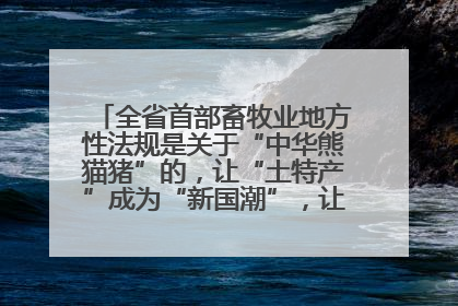 全省首部畜牧业地方性法规是关于“中华熊猫猪”的，让“土特产”成为“新国潮”，让“农产品”升格为“城市IP”