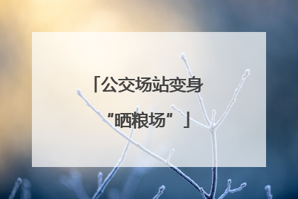 公交场站变身“晒粮场”