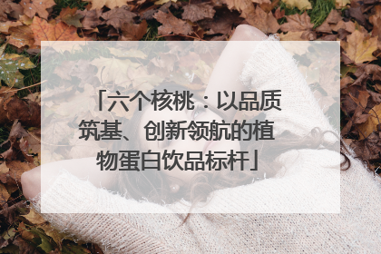 六个核桃：以品质筑基、创新领航的植物蛋白饮品标杆