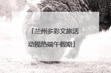 兰州多彩文旅活动搅热端午假期