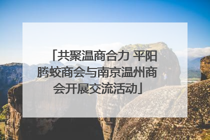共聚温商合力 平阳腾蛟商会与南京温州商会开展交流活动