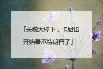 关税大棒下，卡尼也开始奉承特朗普了