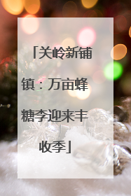 关岭新铺镇：万亩蜂糖李迎来丰收季