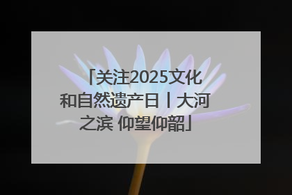 关注2025文化和自然遗产日丨大河之滨 仰望仰韶