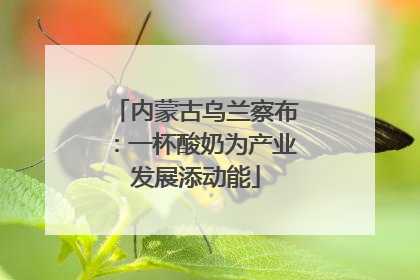 内蒙古乌兰察布：一杯酸奶为产业发展添动能