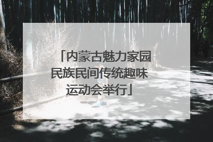 内蒙古魅力家园民族民间传统趣味运动会举行