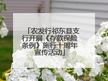 农发行祁东县支行开展《存款保险条例》施行十周年宣传活动