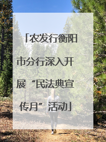 农发行衡阳市分行深入开展“民法典宣传月”活动