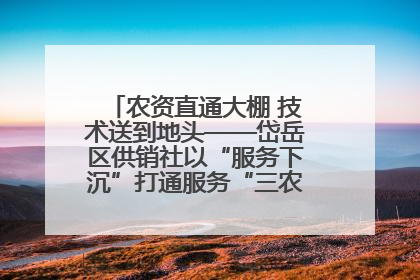 农资直通大棚 技术送到地头——岱岳区供销社以“服务下沉”打通服务“三农”最后一公里