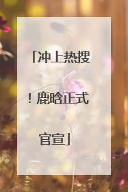 冲上热搜！鹿晗正式官宣