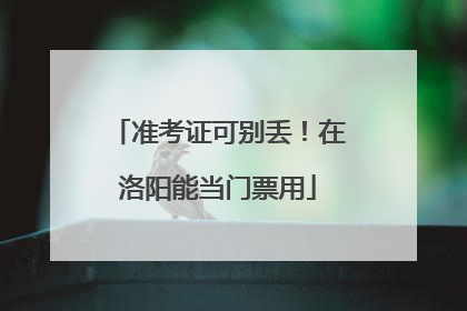 准考证可别丢！在洛阳能当门票用