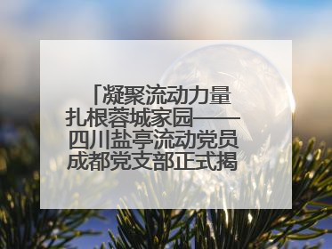 凝聚流动力量 扎根蓉城家园——四川盐亭流动党员成都党支部正式揭牌成立
