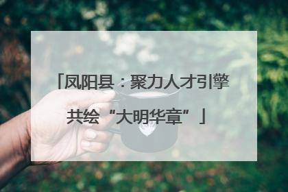 凤阳县：聚力人才引擎 共绘“大明华章”
