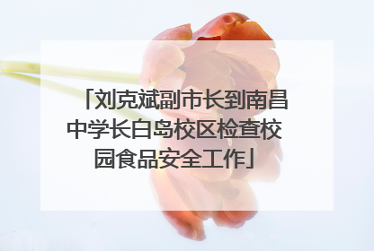 刘克斌副市长到南昌中学长白岛校区检查校园食品安全工作