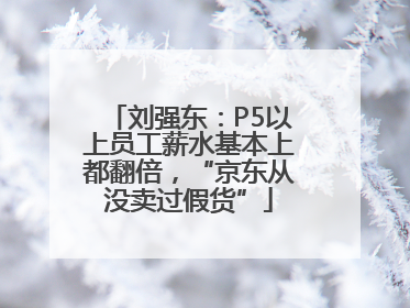 刘强东：P5以上员工薪水基本上都翻倍，“京东从没卖过假货”