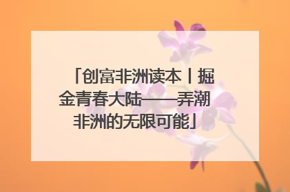 创富非洲读本丨掘金青春大陆——弄潮非洲的无限可能