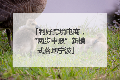 利好跨境电商，“两步申报”新模式落地宁波