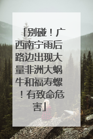 别碰！广西南宁雨后路边出现大量非洲大蜗牛和福寿螺！有致命危害