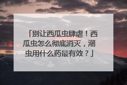 别让西瓜虫肆虐！西瓜虫怎么彻底消灭，潮虫用什么药最有效？