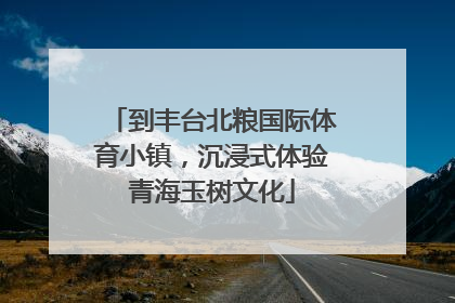 到丰台北粮国际体育小镇，沉浸式体验青海玉树文化
