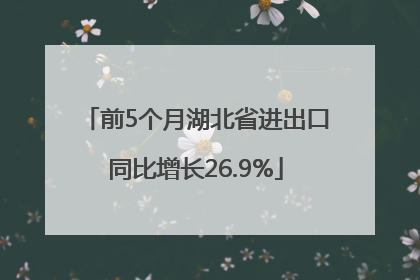 前5个月湖北省进出口同比增长26.9%