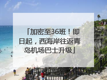 加密至36班！即日起，西海岸往返青岛机场巴士升级