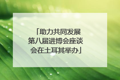 助力共同发展 第八届进博会座谈会在土耳其举办