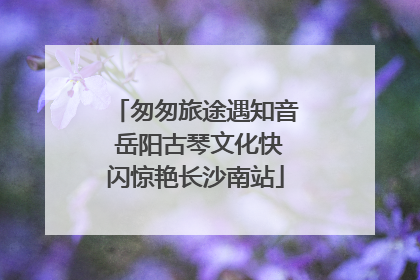匆匆旅途遇知音 岳阳古琴文化快闪惊艳长沙南站