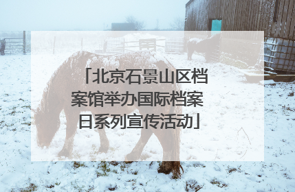 北京石景山区档案馆举办国际档案日系列宣传活动