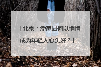 北京：潘家园何以悄悄成为年轻人心头好？