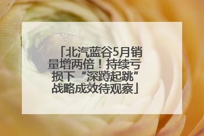 北汽蓝谷5月销量增两倍！持续亏损下“深蹲起跳”战略成效待观察