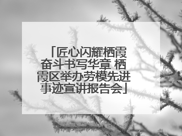匠心闪耀栖霞 奋斗书写华章 栖霞区举办劳模先进事迹宣讲报告会