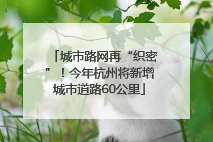 城市路网再“织密”！今年杭州将新增城市道路60公里