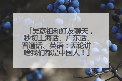 吴彦祖和好友聊天，秒切上海话、广东话、普通话、英语：无论讲啥我们都是中国人！