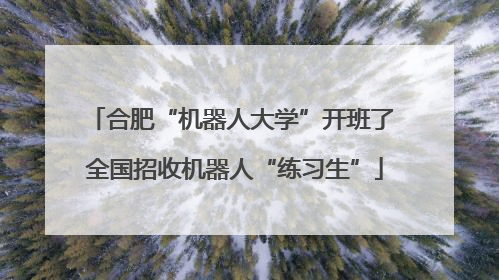 合肥“机器人大学”开班了 全国招收机器人“练习生”