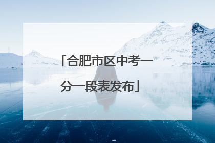 合肥市区中考一分一段表发布