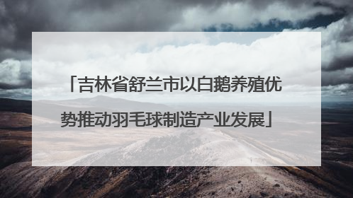 吉林省舒兰市以白鹅养殖优势推动羽毛球制造产业发展