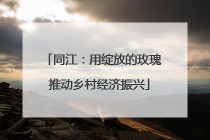 同江：用绽放的玫瑰 推动乡村经济振兴