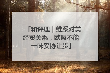 和评理｜维系对美经贸关系，欧盟不能一味妥协让步