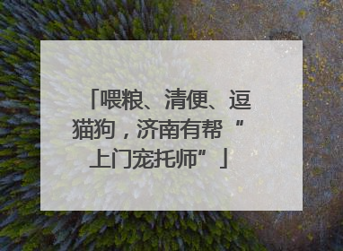 喂粮、清便、逗猫狗，济南有帮“上门宠托师”