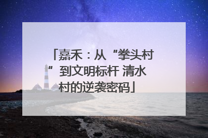 嘉禾：从“拳头村”到文明标杆 清水村的逆袭密码