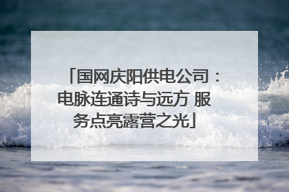 国网庆阳供电公司：电脉连通诗与远方 服务点亮露营之光