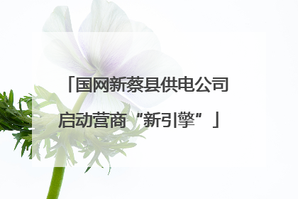 国网新蔡县供电公司启动营商“新引擎”